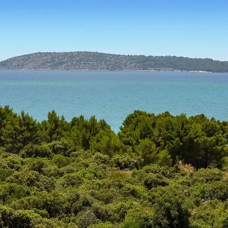 Amazing In * שיבניק